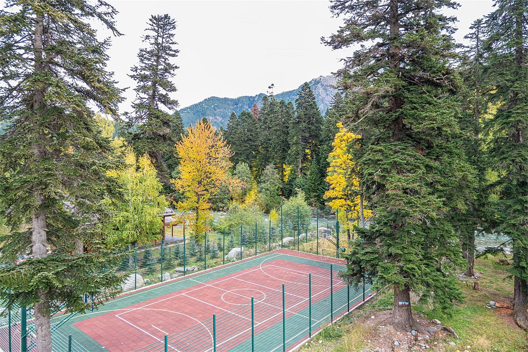 Полулюкс 3-местный