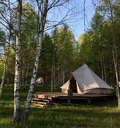 Глэмпинг Звездный лес