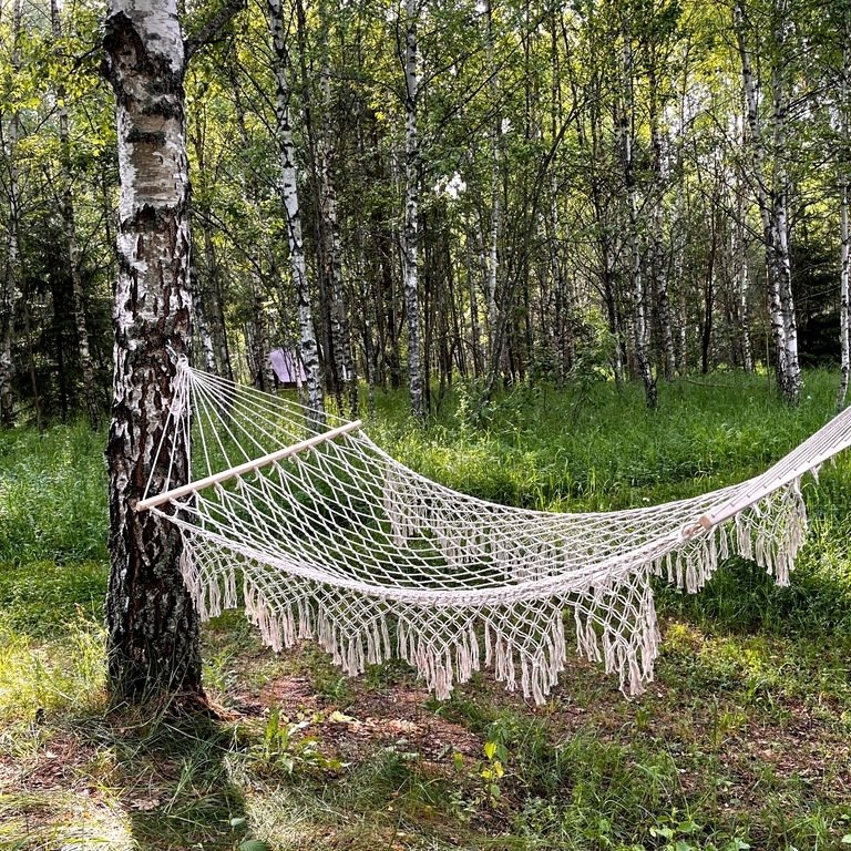 Звездный лес, Калужская область: фото 3