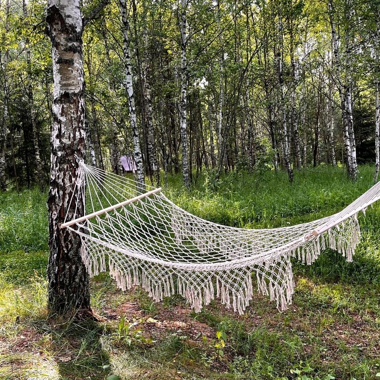 Звездный лес, Калужская область: фото 3