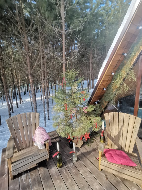 Дом О, Дни в Лесу, Калужская область: фото 4