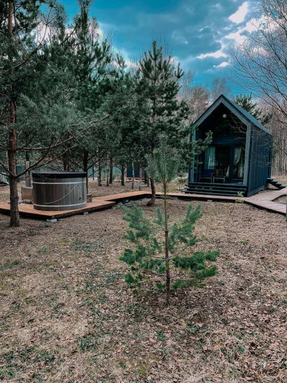 Дыши лесом, Калужская область: фото 2