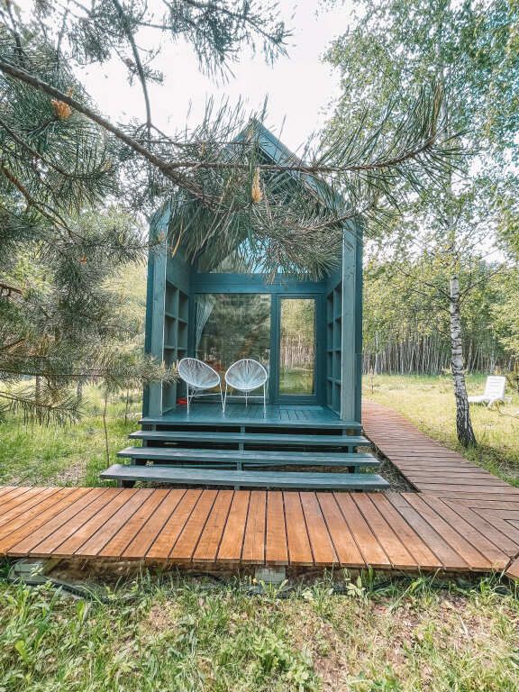 Дыши лесом, Калужская область: фото 3