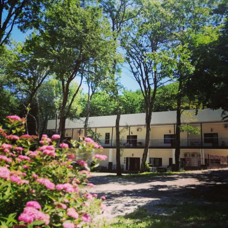 Отель Примула, Краснодарский край, Бухта Инал Архипо-Осиповка Туапсинский район Бжид Джубга Лермонтово Голубая Бухта Пляхо