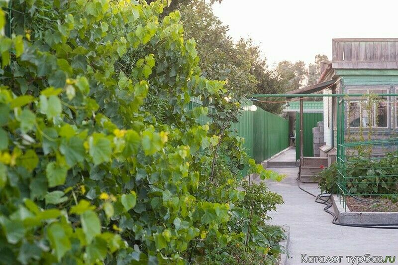 Домик в деревне, Астраханская область: фото 4