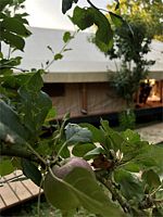 9 Tent-house (с фурако), Глэмпинг Apparadise Glamping & Spa, Смоленская