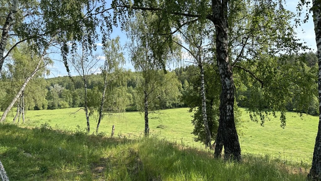 на Березовой, Калужская область: фото 2