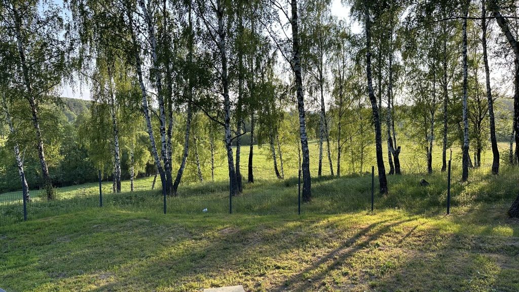 на Березовой, Калужская область: фото 3