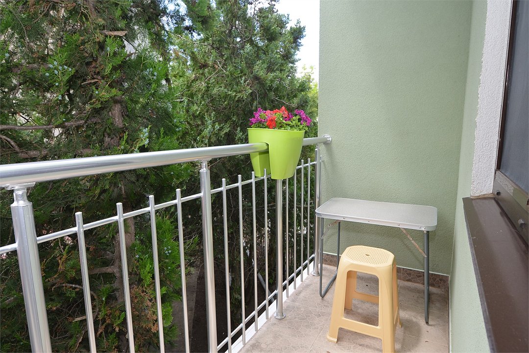 Ассоль+, Крым: фото 2