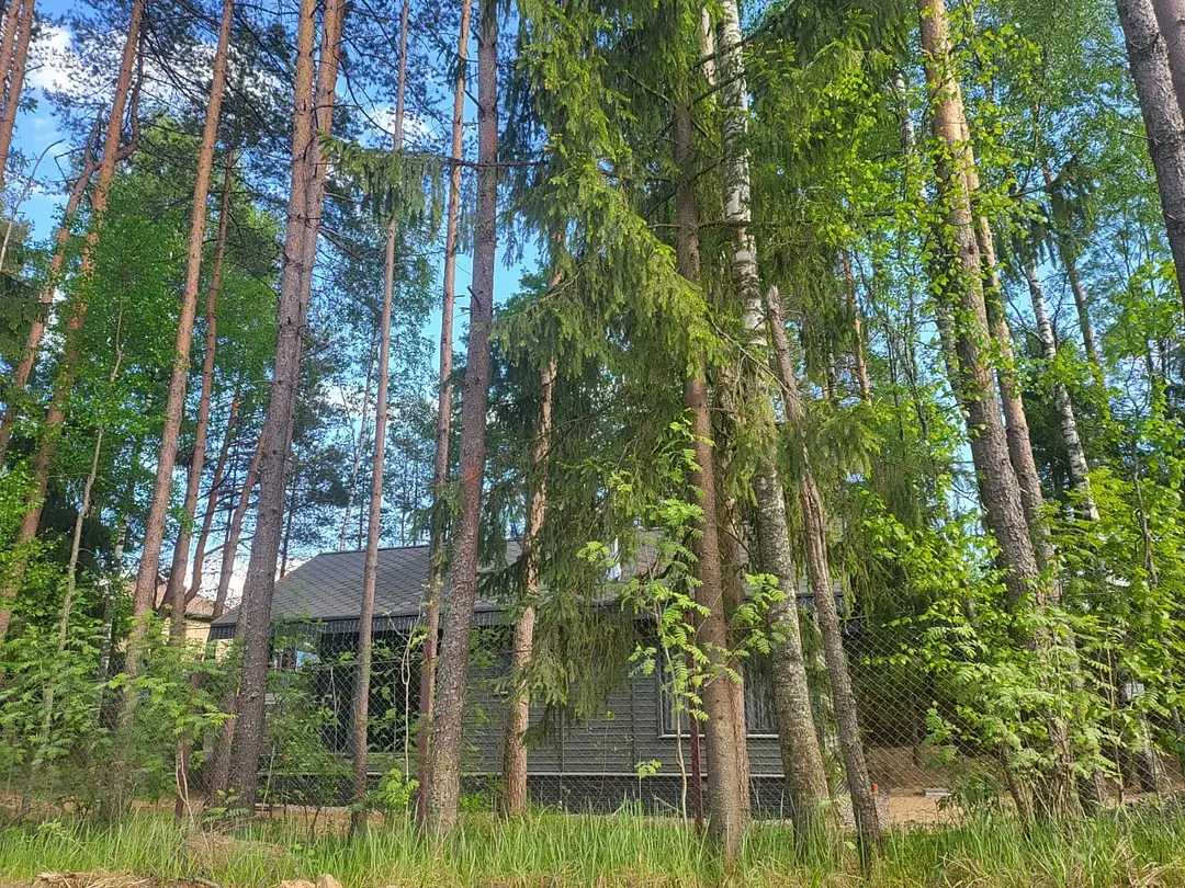 Лосиный ключ, Ленинградская область: фото 2