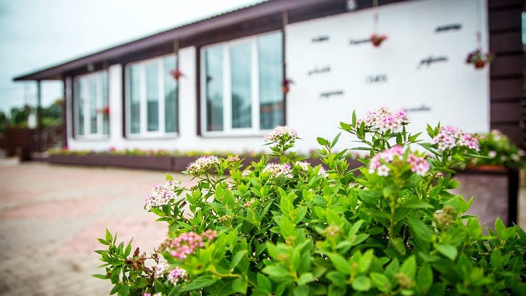 Сова Сойкино, Ленинградская область: фото 5