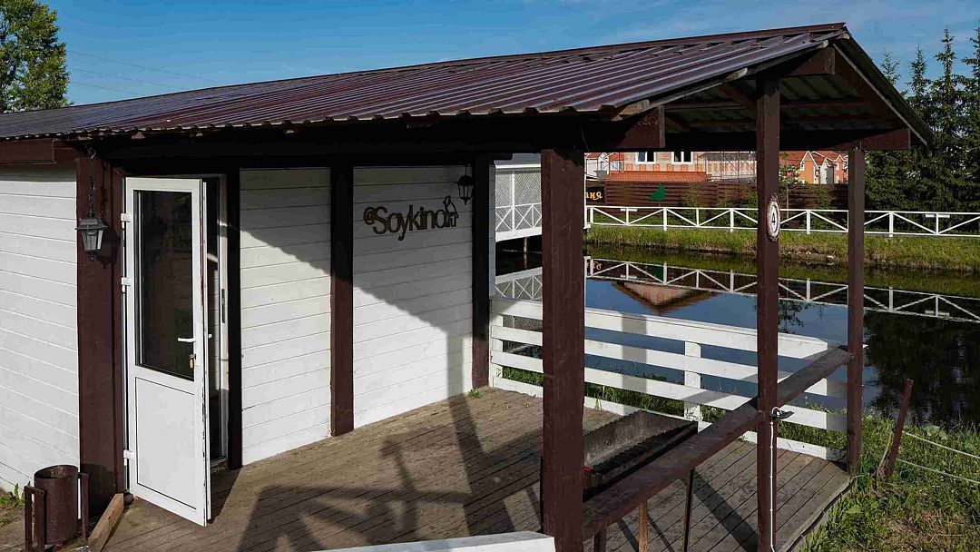 Сова Сойкино, Ленинградская область: фото 3