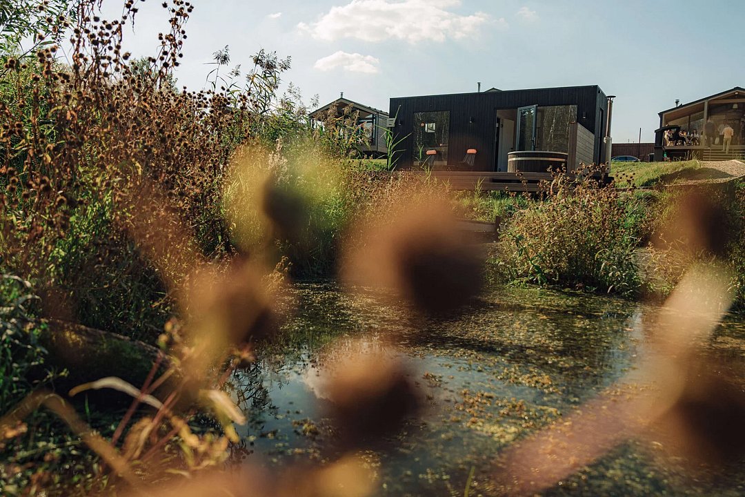 OGONЁK, Московская область: фото 4