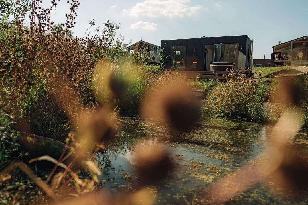 OGONЁK, Московская область: фото 4