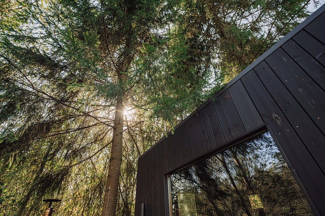 OGONЁK, Московская область: фото 2