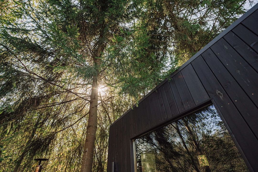 OGONЁK, Московская область: фото 2