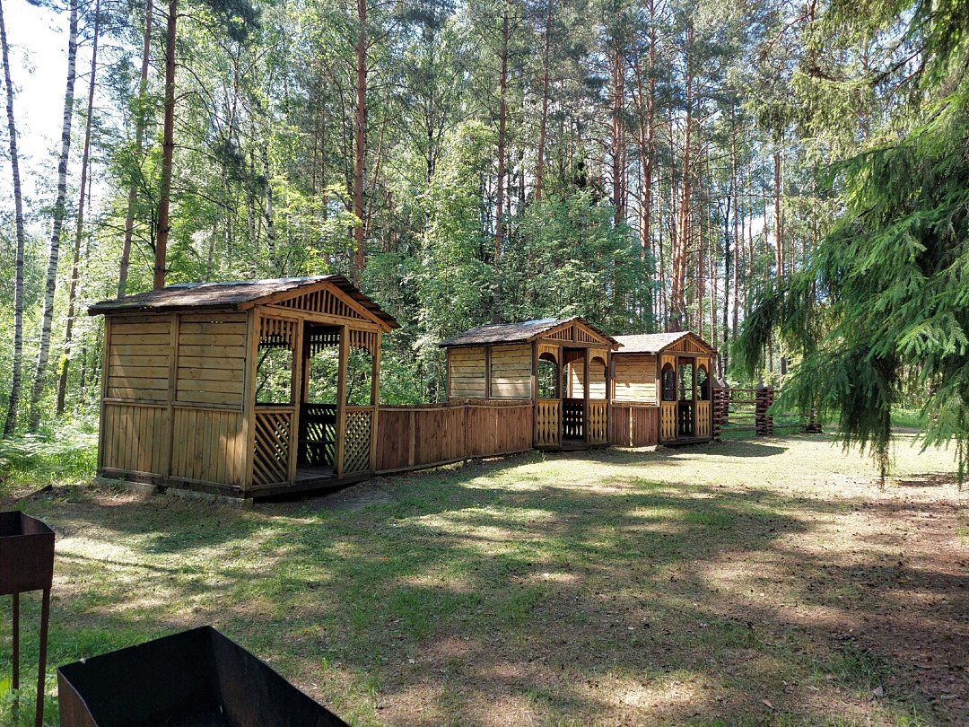 Золинское озеро, Нижегородская область: фото 5