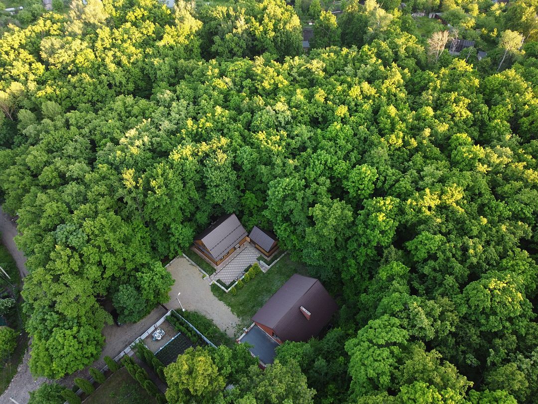 Дом в лесу, Пензенская область: фото 3