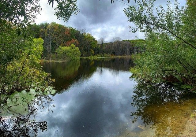 Дом в лесу, Пензенская область: фото 5