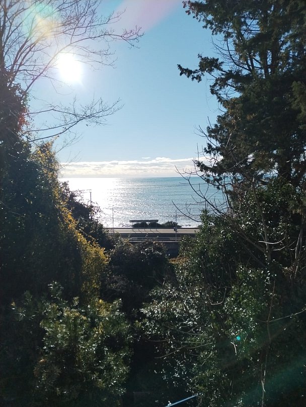 Гостевой дом Anchor Villa (Анкор Вилла), Краснодарский край, Лазаревское Сочи Вардане Лоо Якорная щель