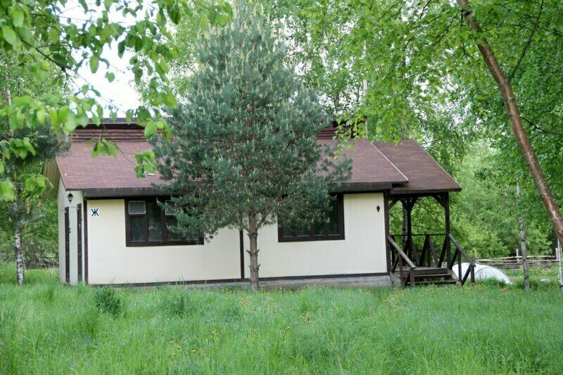 Великое озеро, Новгородская область: фото 4