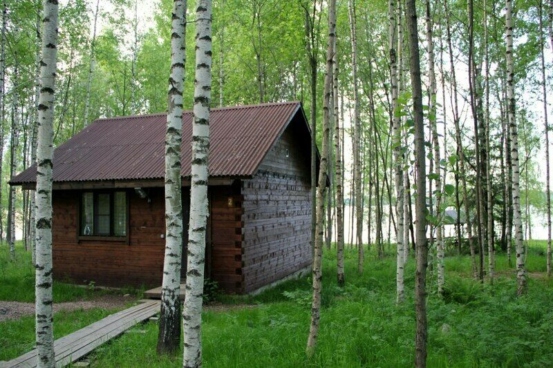 Великое озеро, Новгородская область: фото 5