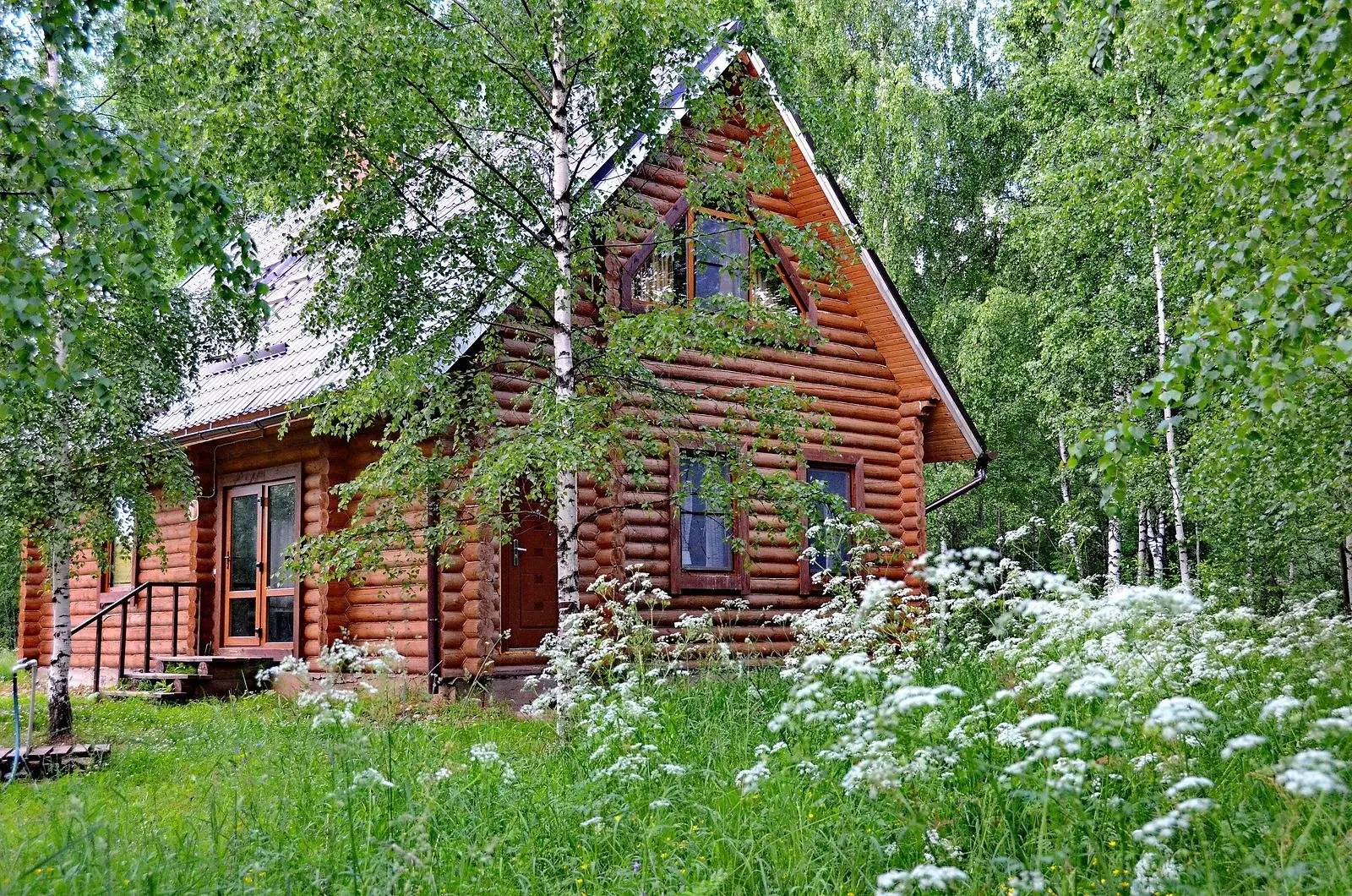 База отдыха Великое озеро, Валдайский, Новгородская область