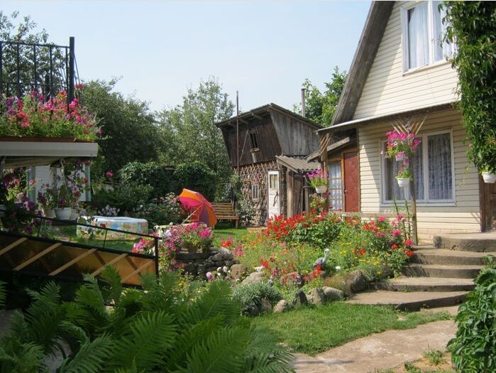 Сосны, Витебская область: фото 2