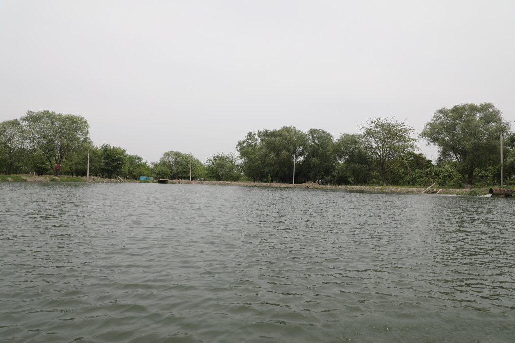 База отдыха Беной Тревел "Озеро", Чеченская Республика, Гудермес Грозный