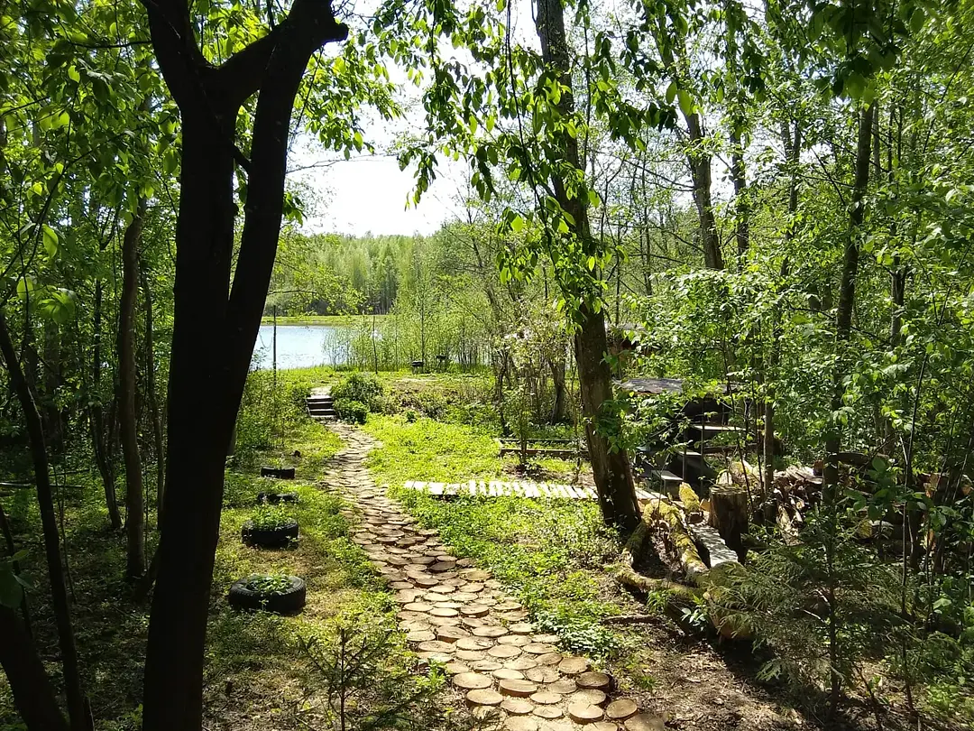 Прованс, Московская область: фото 3