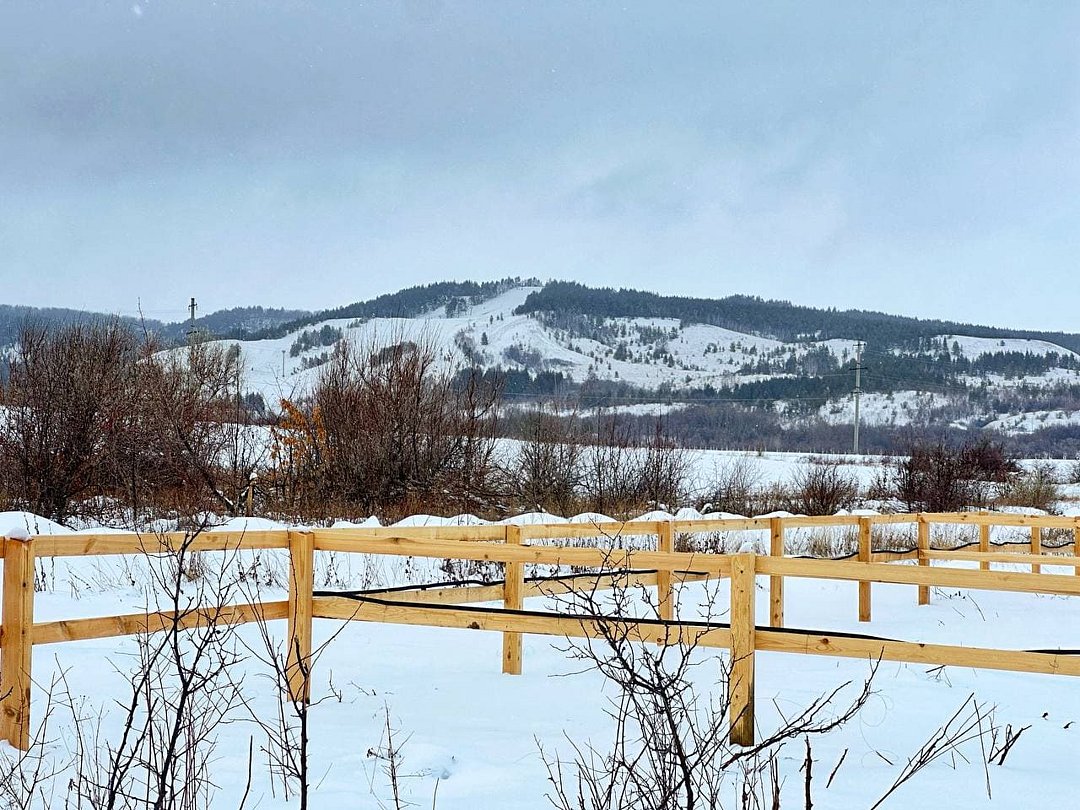 Лайт 8, Саратовская область: фото 5