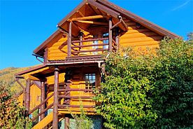 Дом Купеческий дом 2-местный ГД Полевая 7.1, Агротуристический комплекс Басаргино, Алтайский район