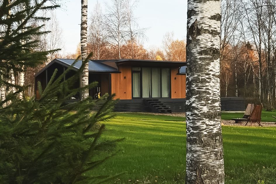 Birchdom, Ярославская область: фото 5