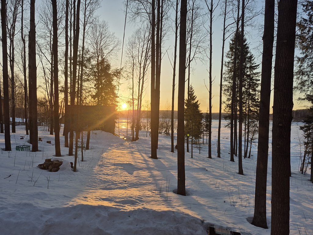 Фото из отзыва от 29.03.2025