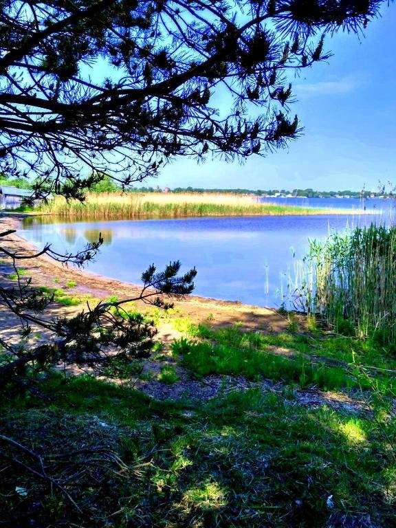 Усадьба Роза на Селигере, Тверская область: фото 5