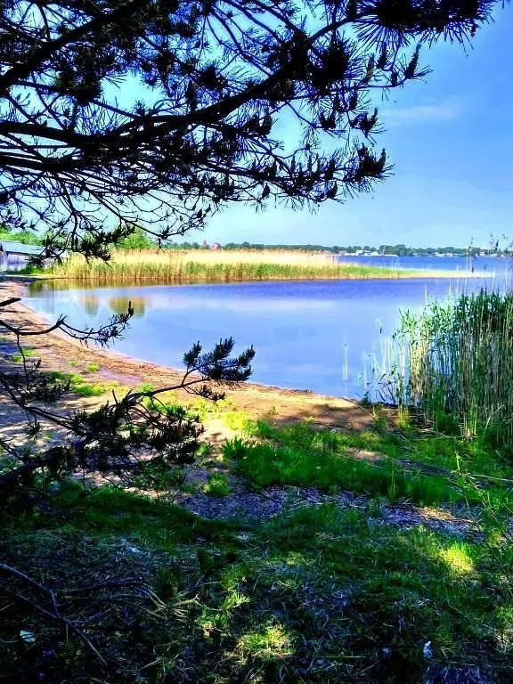 Усадьба Роза на Селигере, Тверская область: фото 5
