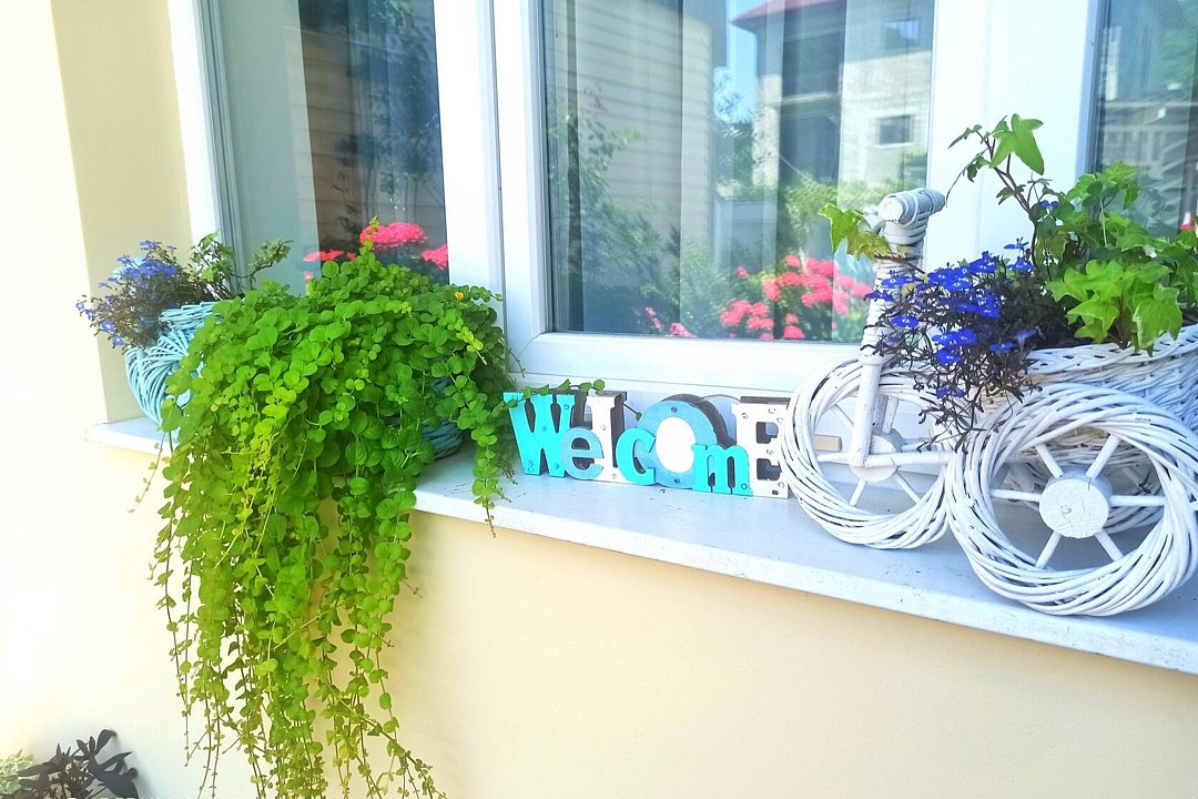 Благодать, Краснодарский край: фото 3