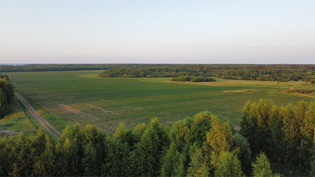 Брейтово, Ярославская область: фото 4