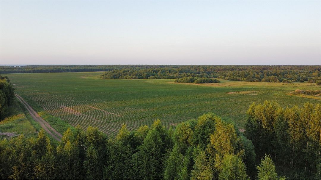 Брейтово, Ярославская область: фото 4