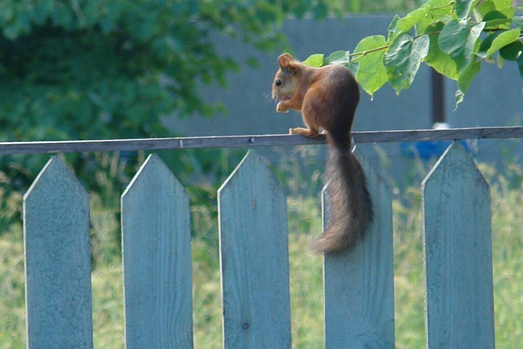 Гостевой Домик с Баней, Тверская область: фото 5
