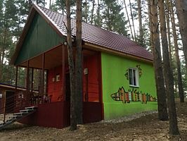 Крокодил, База отдыха Лесная Дача, Городищенский район