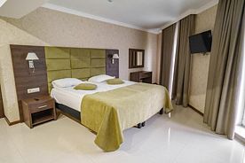 Номер ЕВРО\ЛЮКС с кухней № 35, Гостевой дом Орлиное гнездо, Архыз