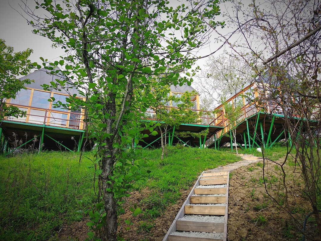 Оранжереи, Краснодарский край: фото 4