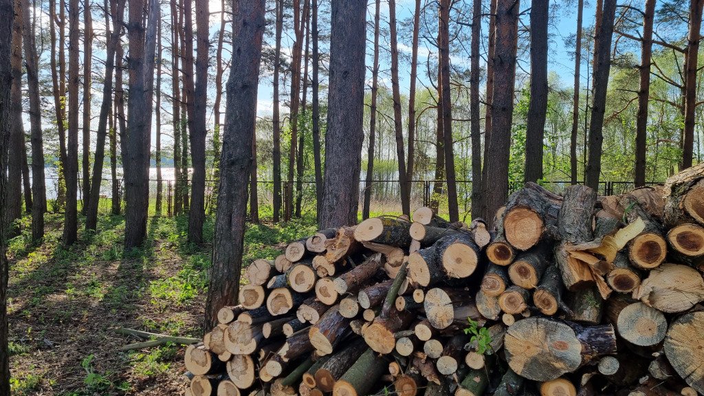 Горетово Парк, Московская область: фото 3
