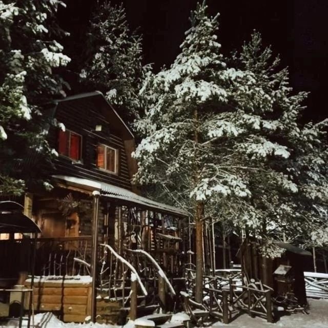 База отдыха Акула -парк, Борисоглебский район, Ярославская область