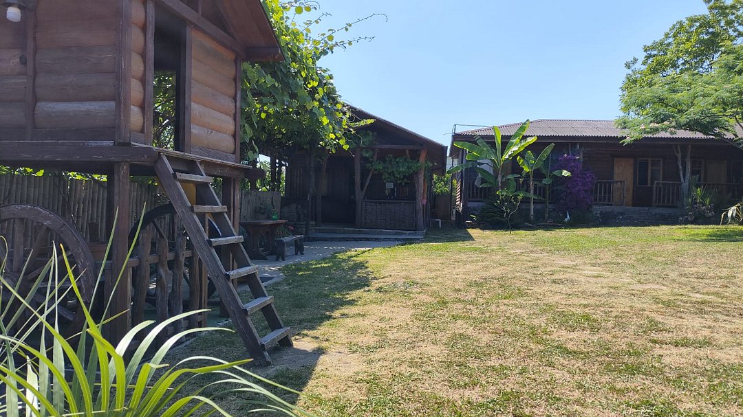 Ковчег, Гагрский район: фото 5