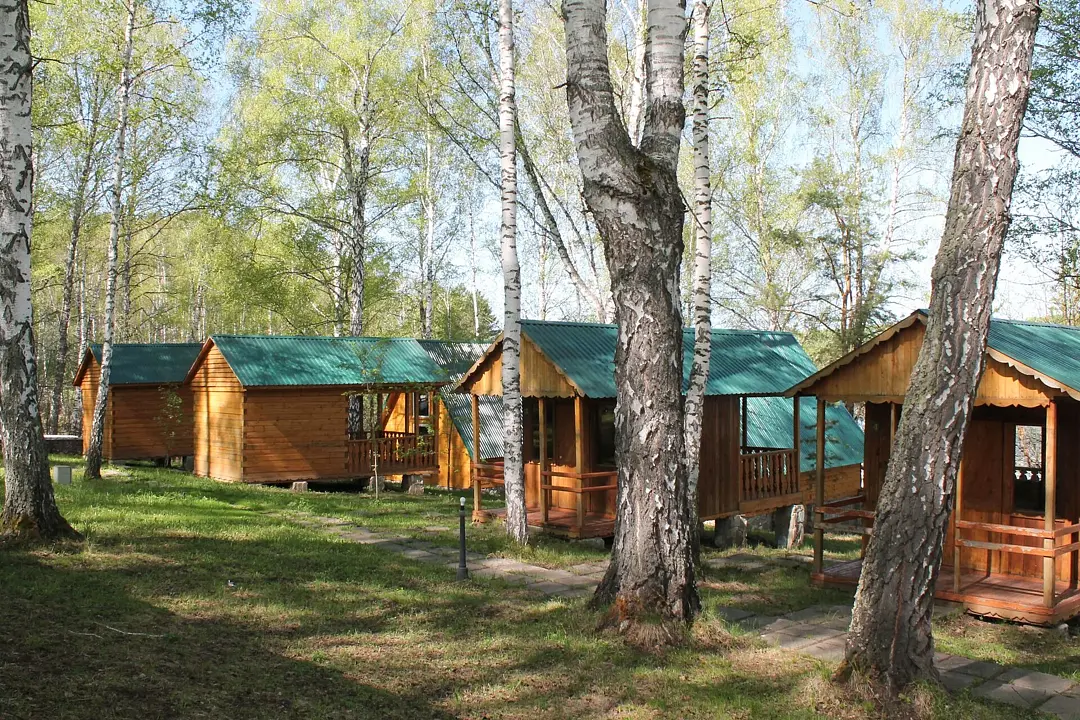 Стрелинка, Новосибирская область: фото 2