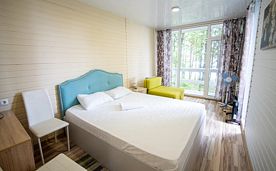 Стандарт прибрежный №1 2-х местный 1-комнатный, База отдыха Костоваты, Воткинск