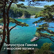 Прогулки на катере