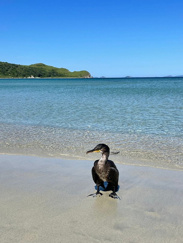 Морской заповедник
